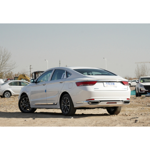 geely borui ev voiture electrique adulte carros veicoli per adulti adulti eec elettrico auto